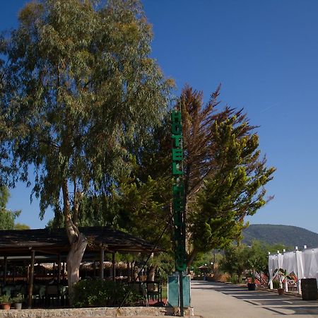 Hotel Hellas Epidaurus Zewnętrze zdjęcie